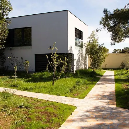 Rosemary Park فيلة