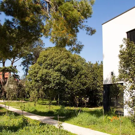فيلة Rosemary Park