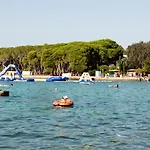 فيلة Rosemary Park *