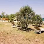 Rosemary Park فيلة *