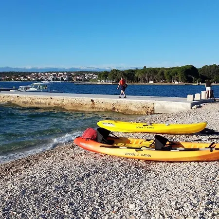 Rosemary Park Ζαντάρ
