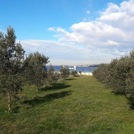 Rosemary Park * Zadar