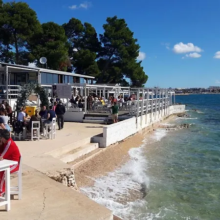 Rosemary Park Ζαντάρ