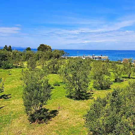 Villa Rosemary Park *