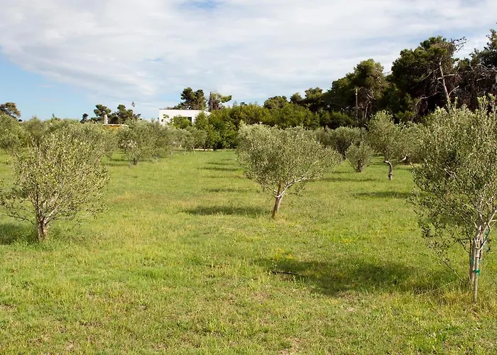 Villa Rosemary Park *